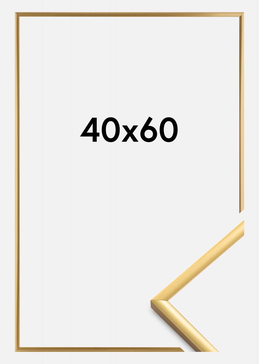 Walther Fotolijst New Lifestyle Shiny Gold 40x60 cm