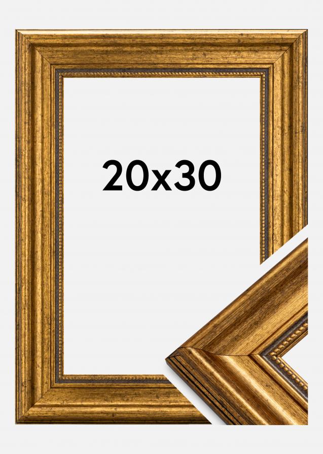Estancia Fotolijst Rokoko Acrylglas Goud 20x30 cm