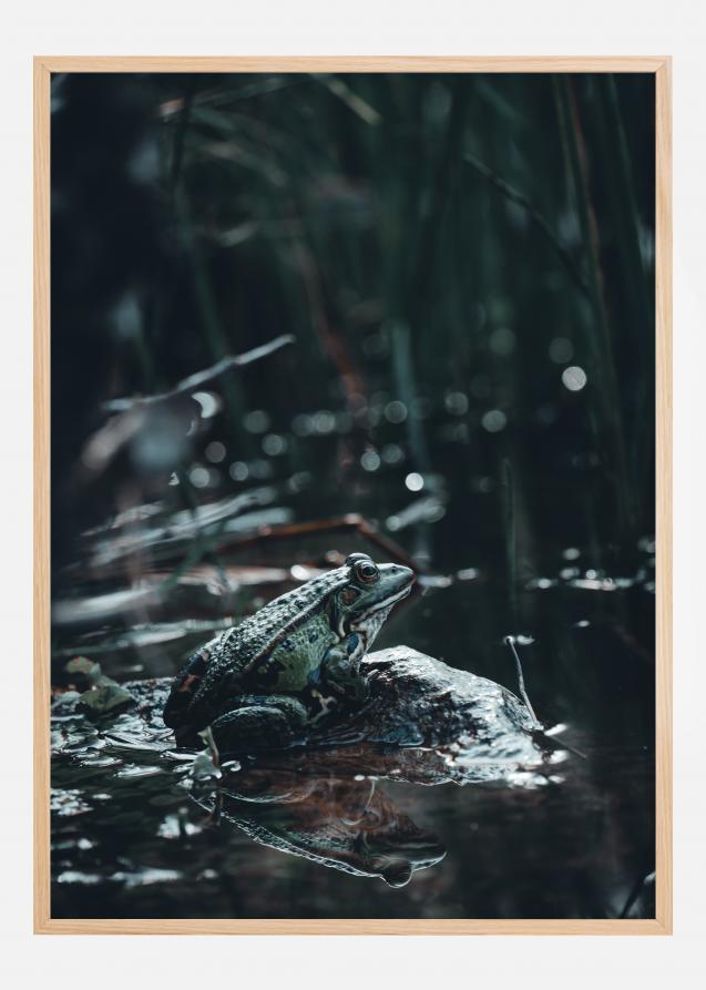 Bildverkstad Frog Poster