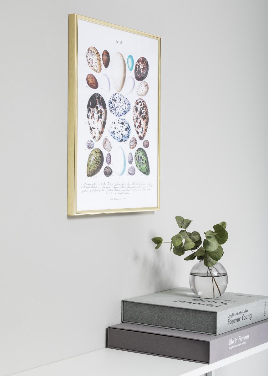 Nielsen Fotolijst Nielsen Premium Classic Goud 21x29,7 cm (A4)