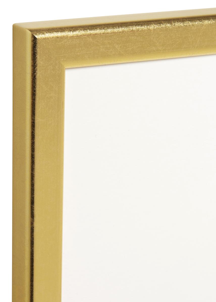 HHC Distribution Fotolijst Slim Mat Ontspiegeld Glas Goud 21X29,7 cm (A4)