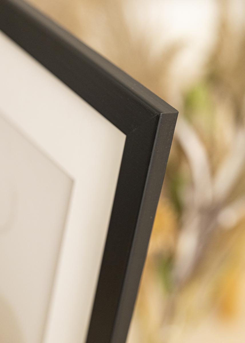 Artlink Fotolijst Trendline Acrylglas Zwart 22x28 inches (55,88x71,12 cm)