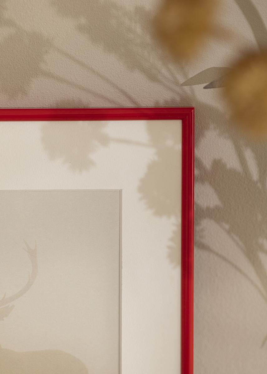Walther Fotolijst Galeria Rood 50x70 cm