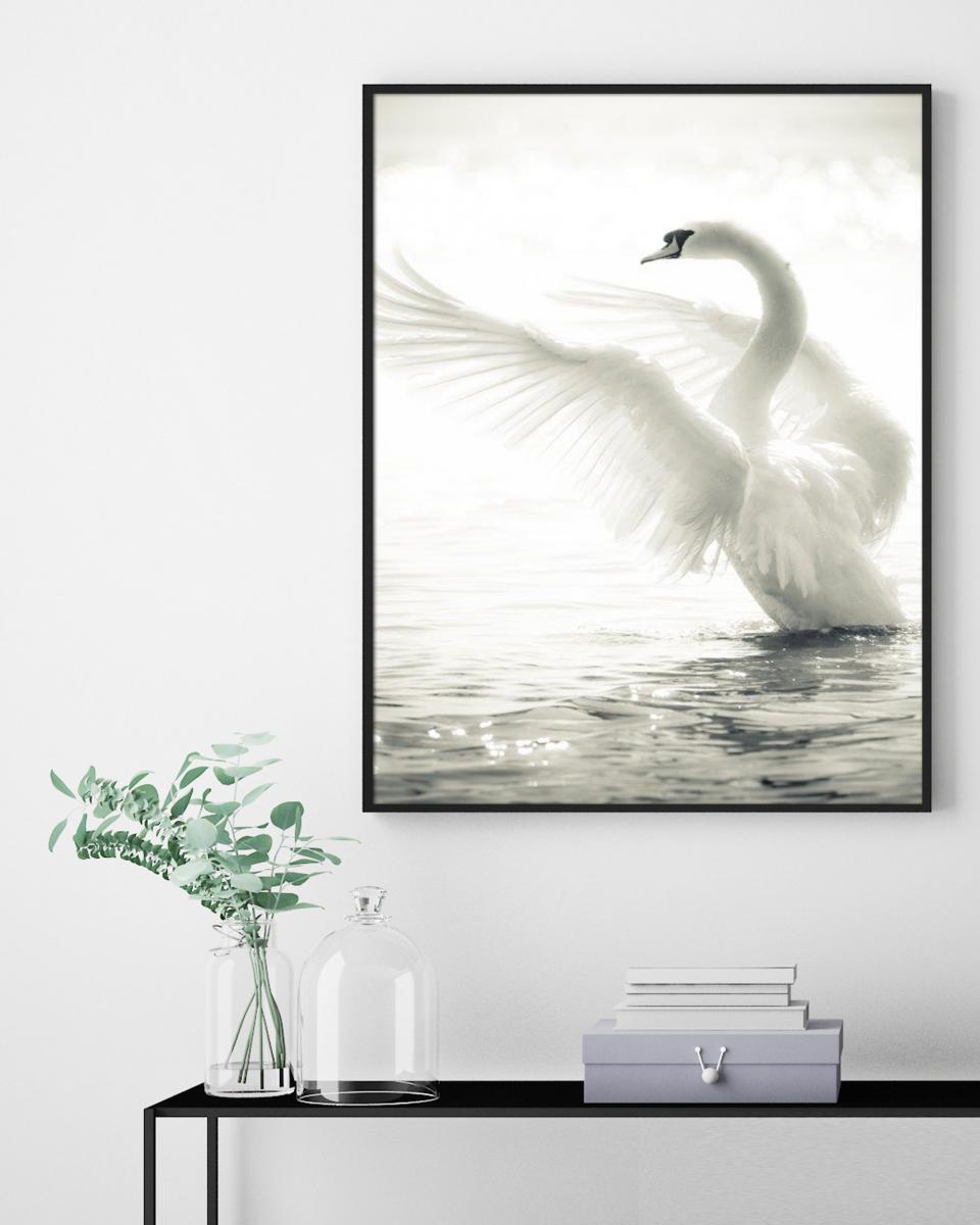Lagervaror egen produktion Swan Poster