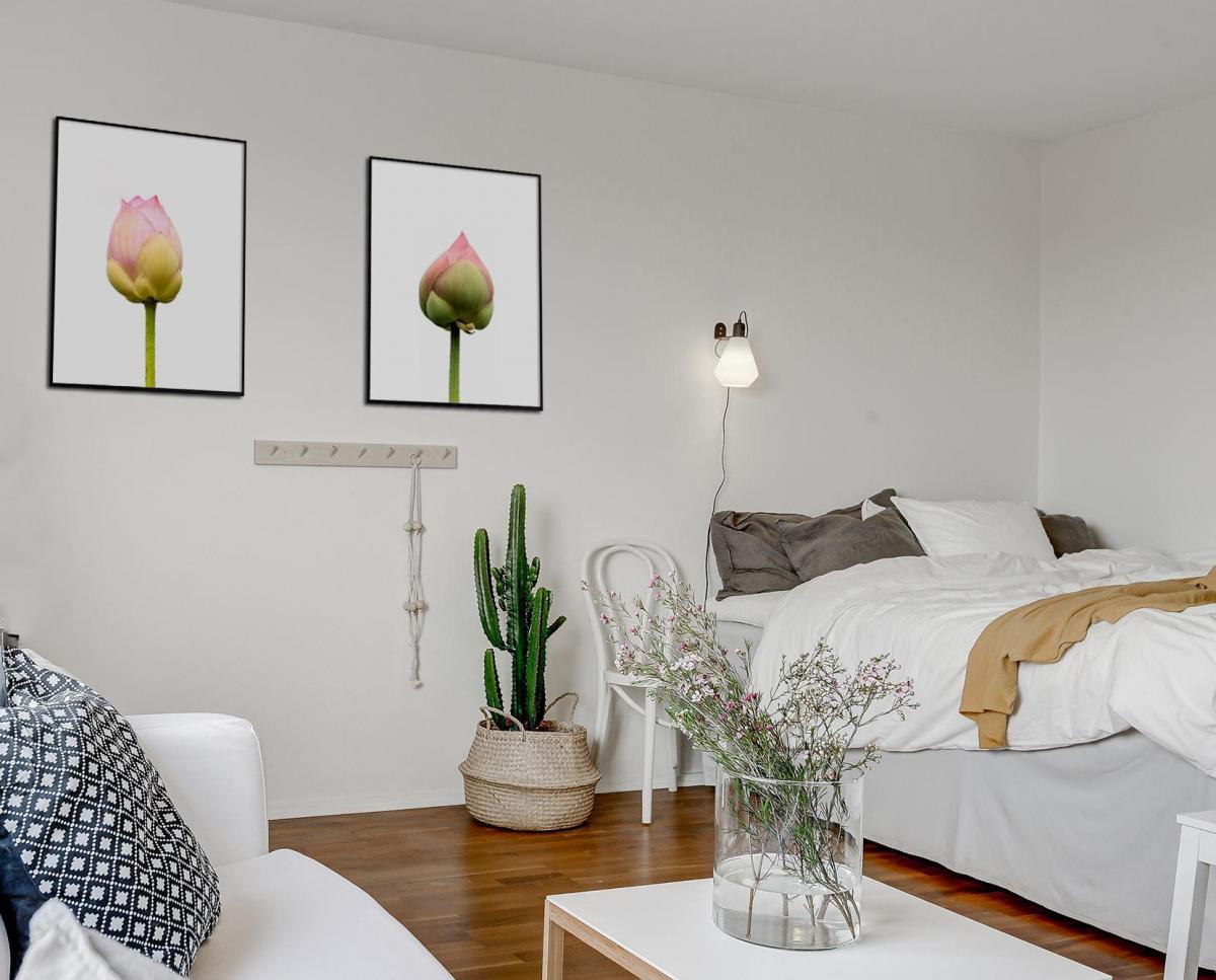 Estancia Lotusflower I - 50x70 cm Poster