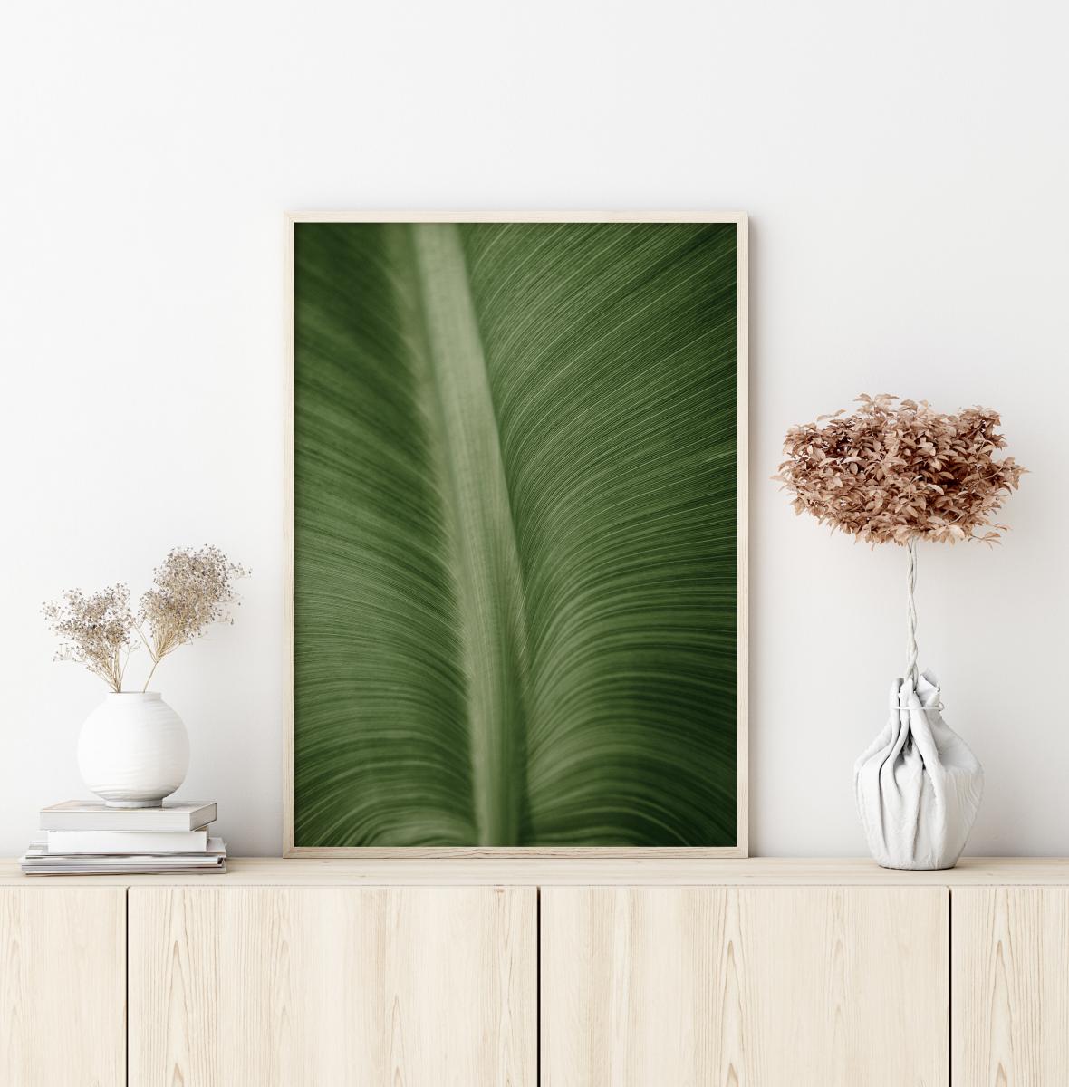 Bildverkstad Structure Of Leaves Poster