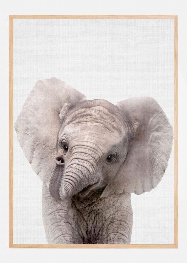 Bildverkstad Peekaboo Baby Elephant Poster