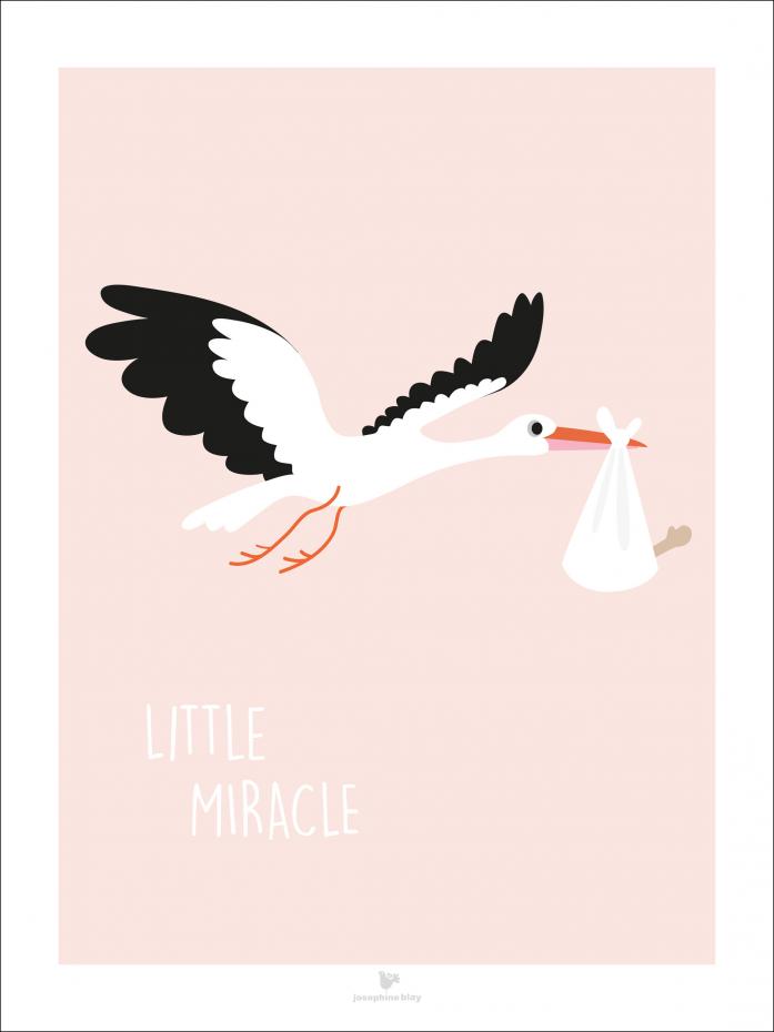 Bildverkstad Little miracle Pink Poster