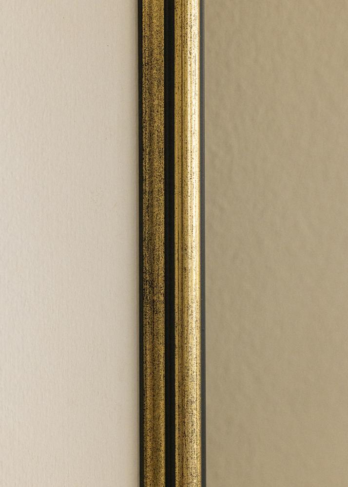 Galleri 1 Fotolijst Horndal Acrylglas Goud 32,9x48,3 cm (A3+)