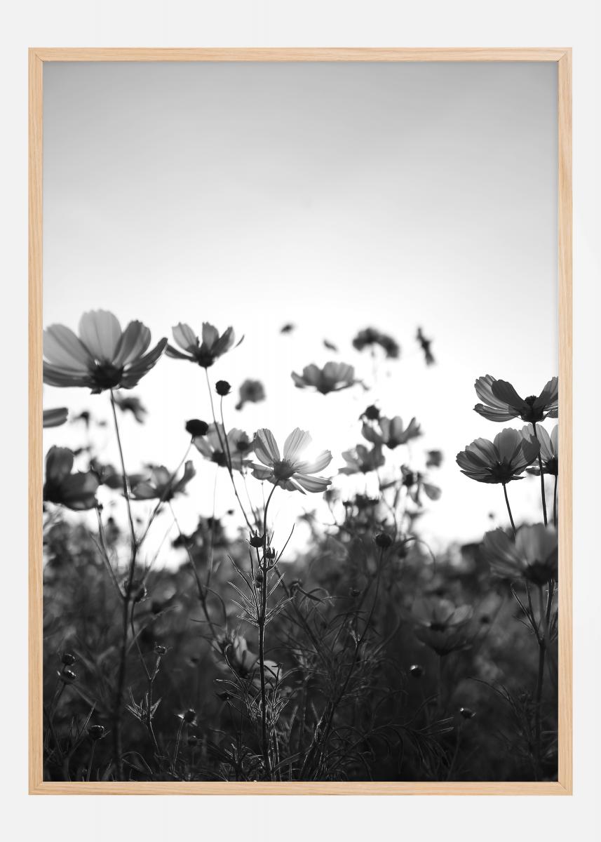 Bildverkstad Black and white field with flowers Poster