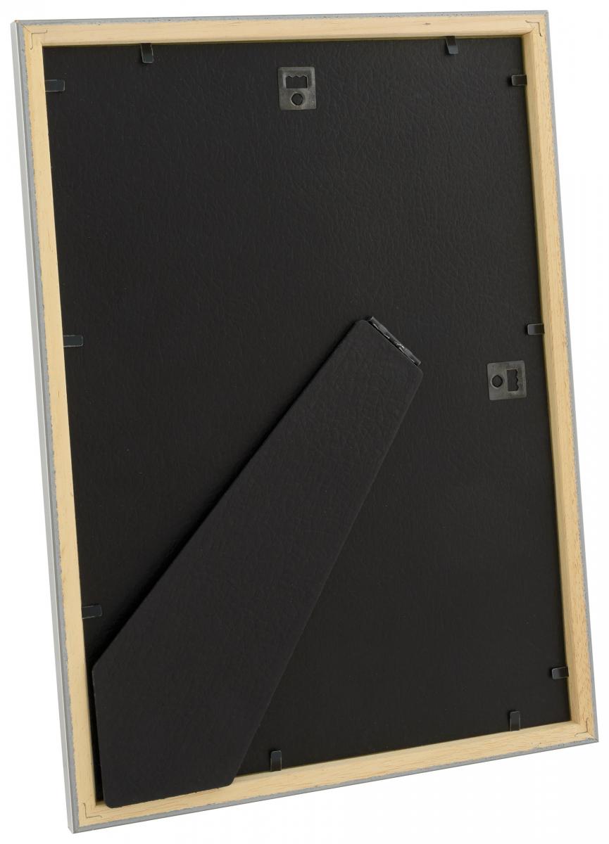 HHC Distribution Fotolijst Slim Mat Ontspiegeld Glas Zilver 21x29,7 cm (A4)