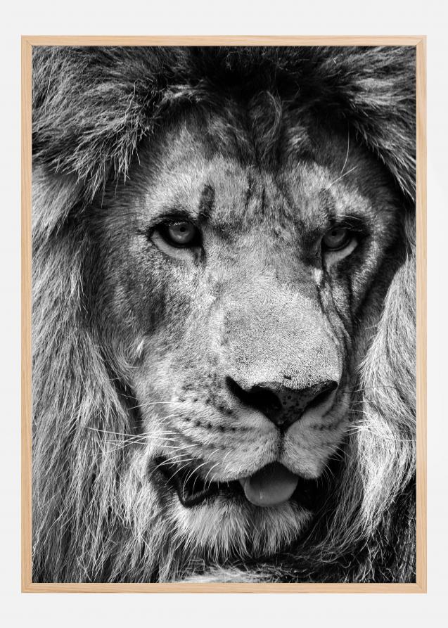 Bildverkstad Lion King Poster