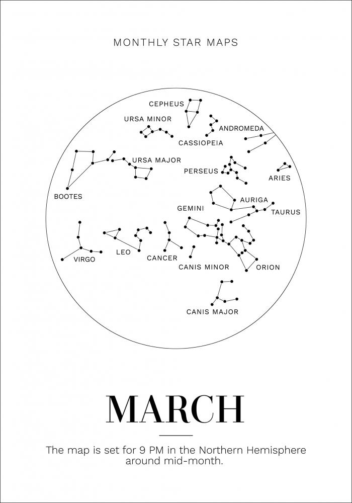 Bildverkstad Monthly star March Poster