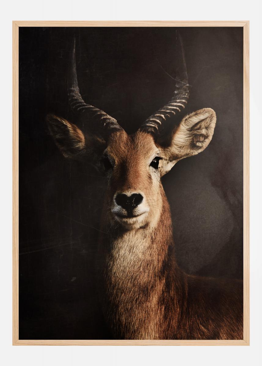Bildverkstad Antelope Poster