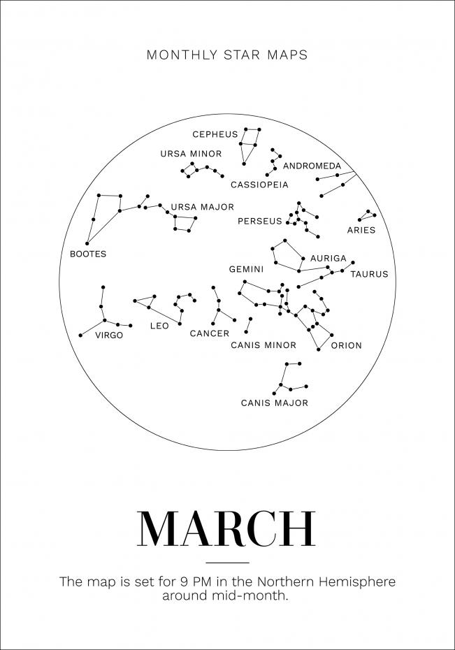 Bildverkstad Monthly star March Poster
