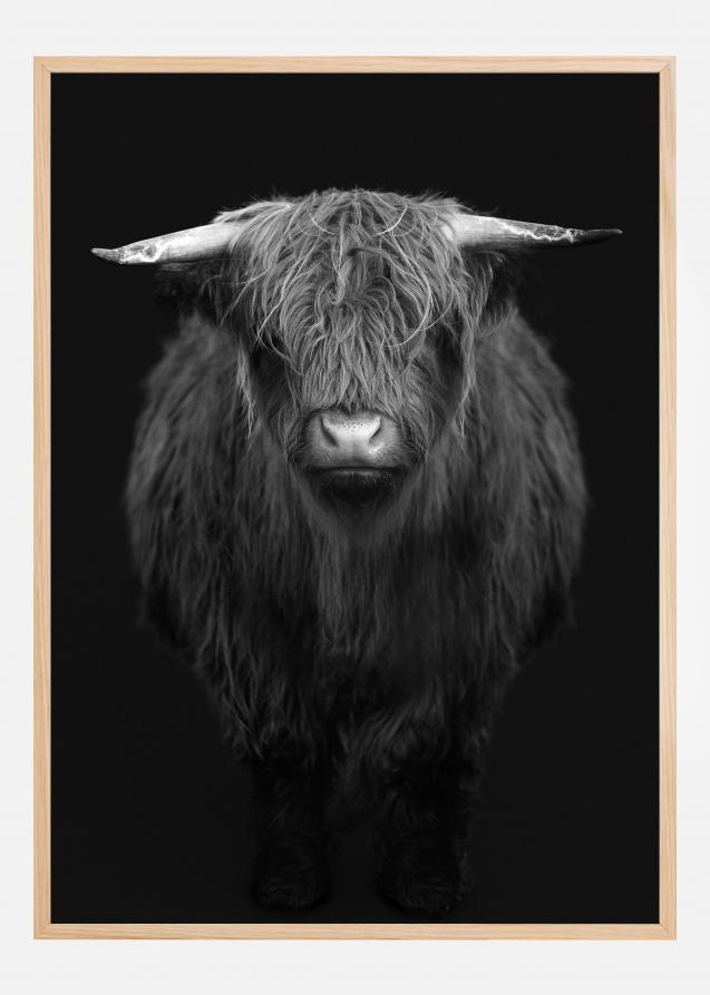 Bildverkstad Highland I Poster