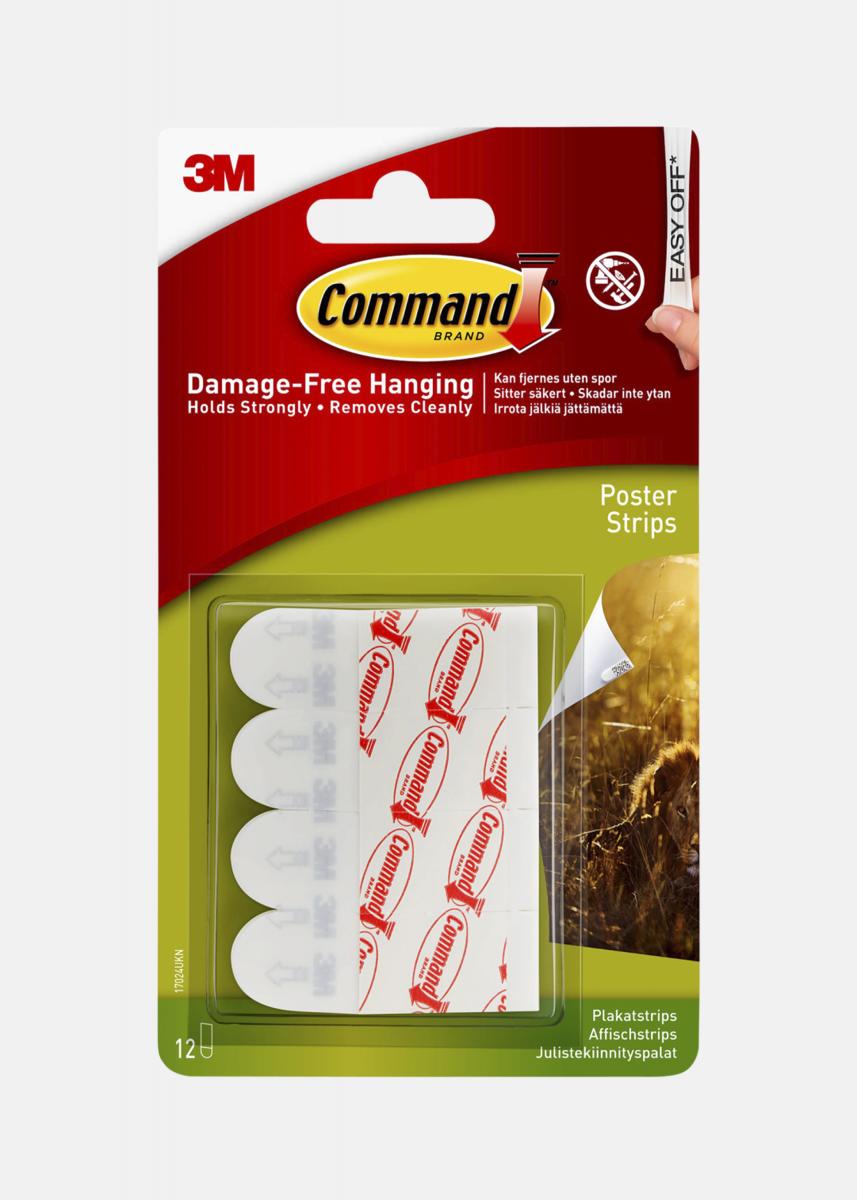 Focus 3M Command Poster Strips