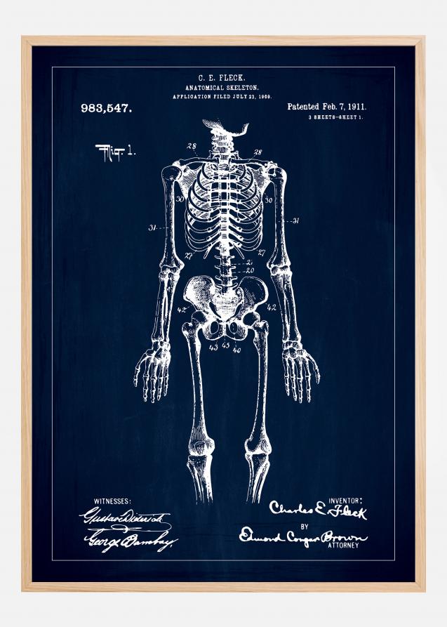 Bildverkstad Patenttekening - Anatomisch skelet I - Blauw Poster