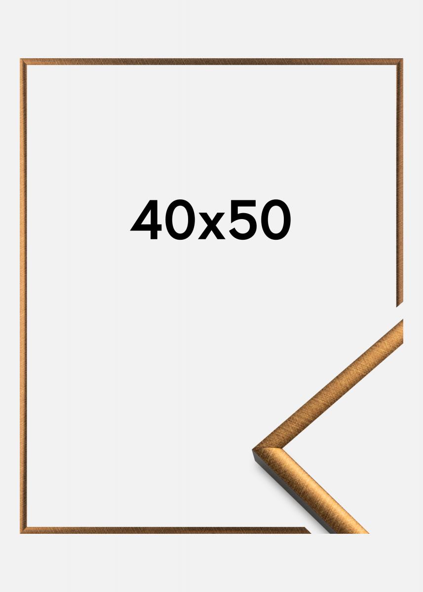 Walther Fotolijst New Lifestyle Brons 40x50 cm