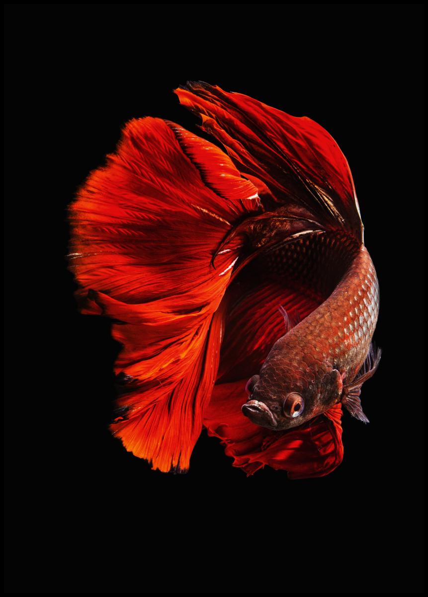 Bildverkstad The Red Poster