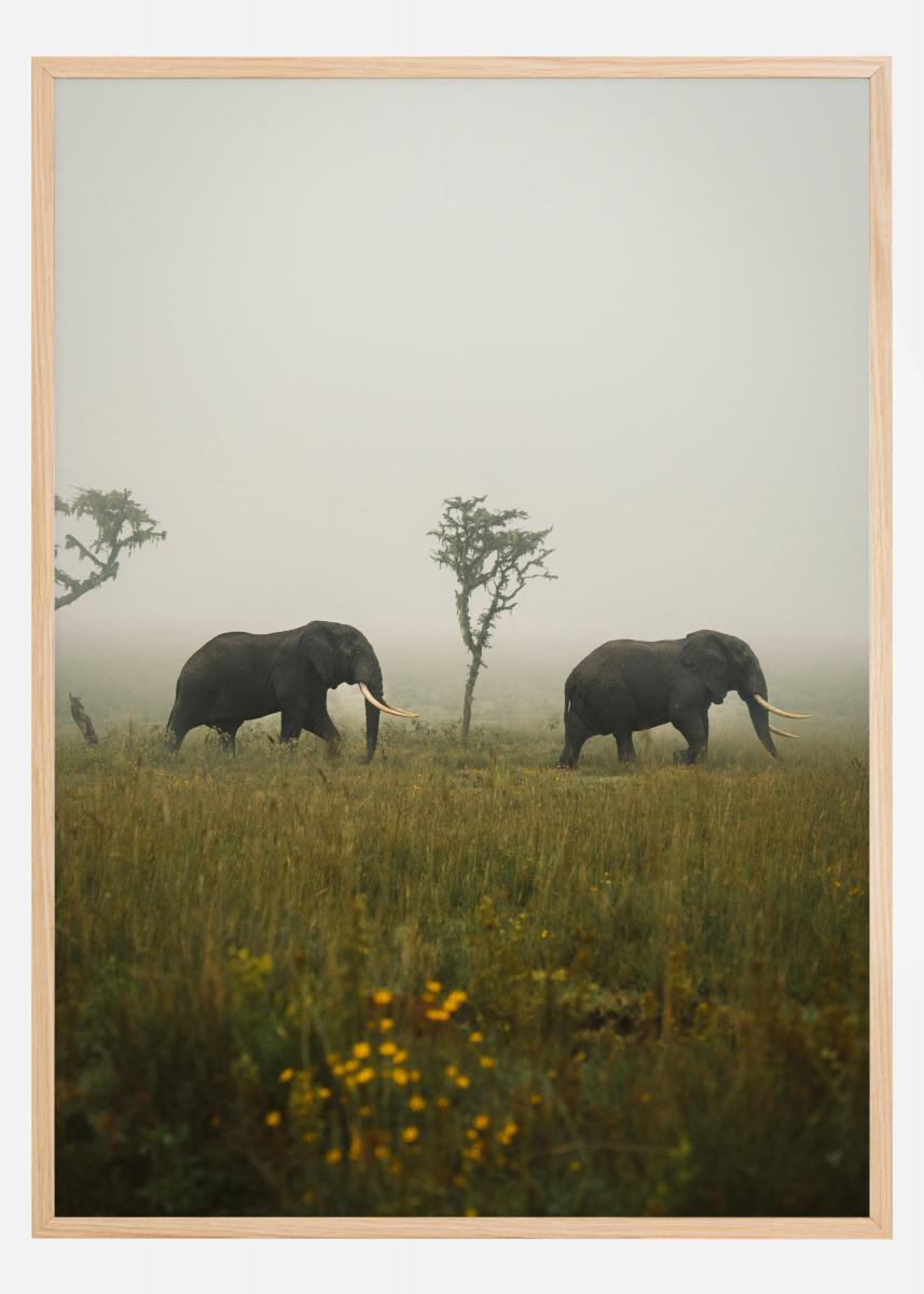 Bildverkstad Elephant Walk Poster