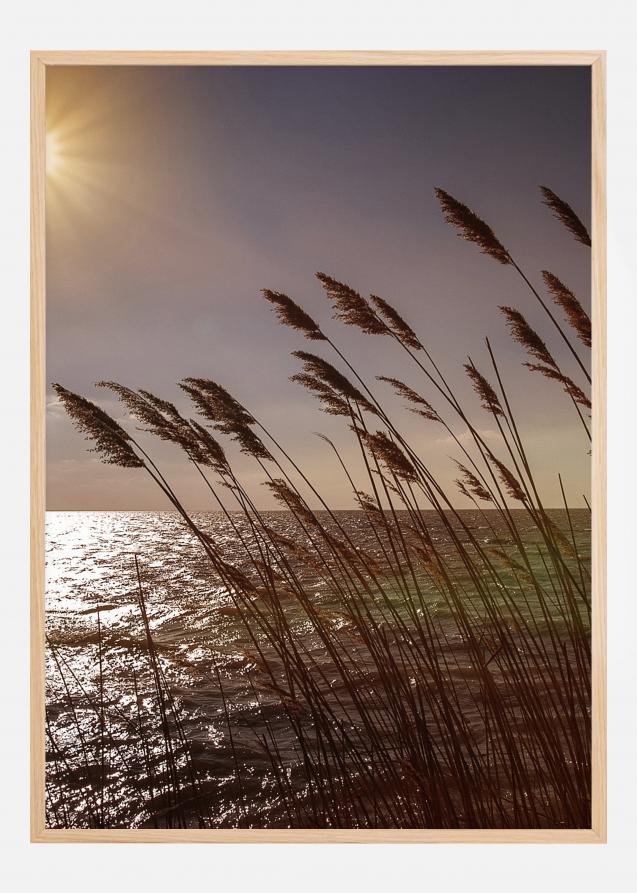 Bildverkstad Lake Sunset Poster