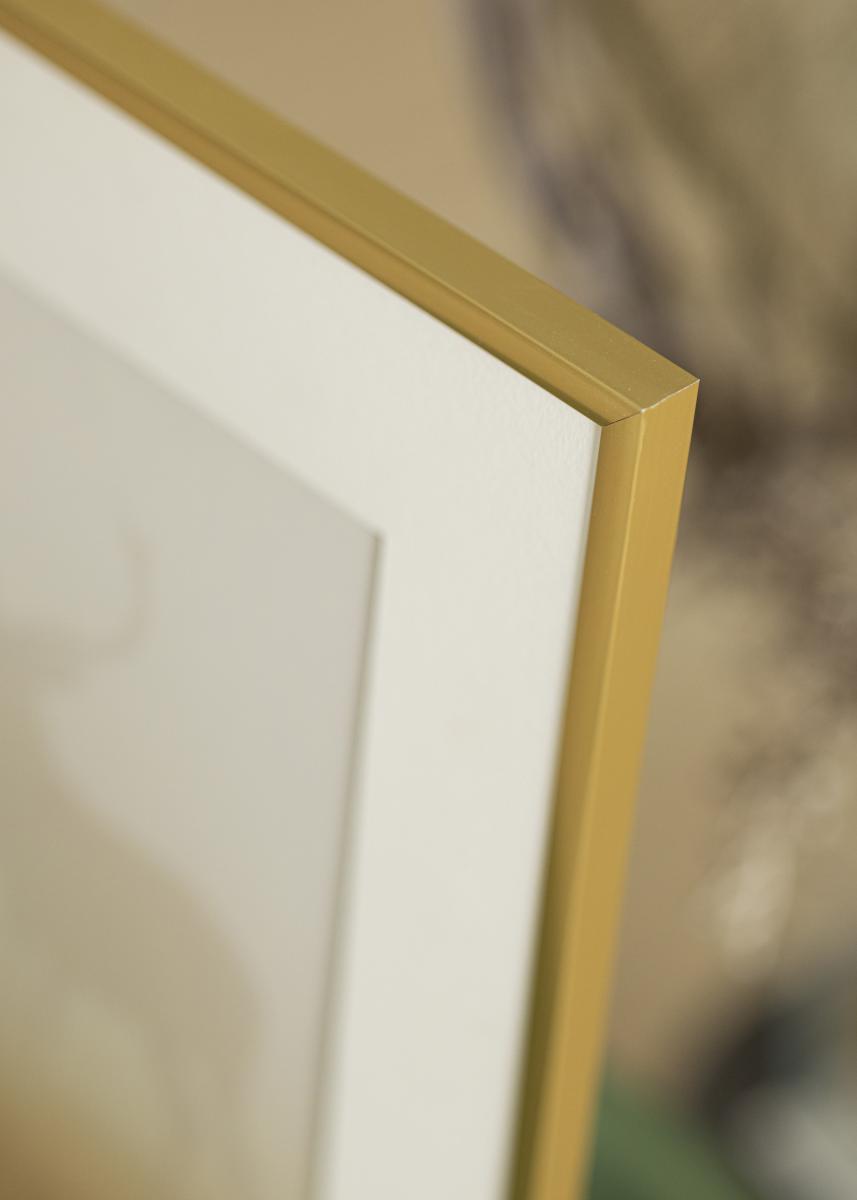Walther Fotolijst New Lifestyle Acrylglas Goud 29,7x42 cm (A3)