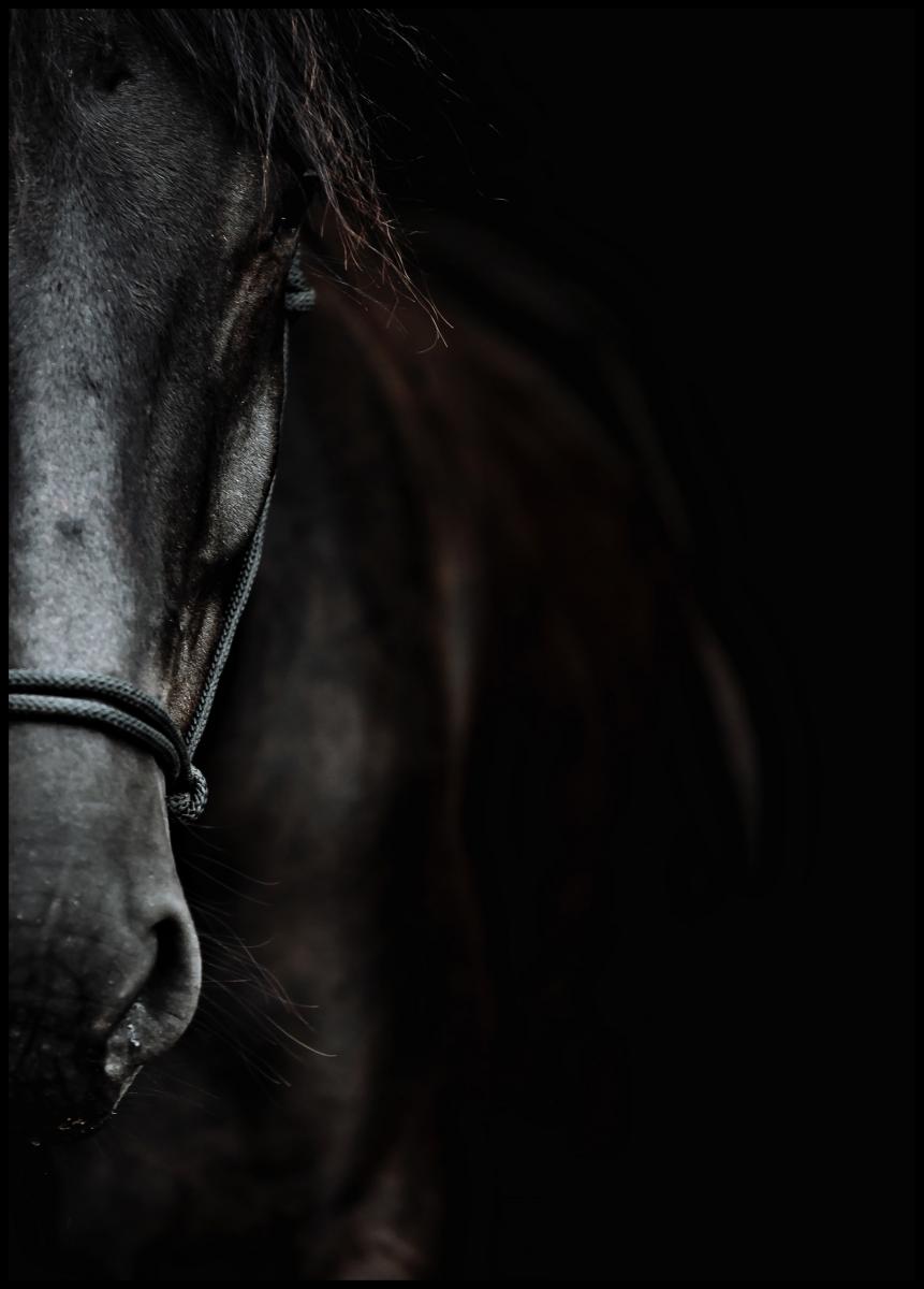 Bildverkstad Dark Horse Poster