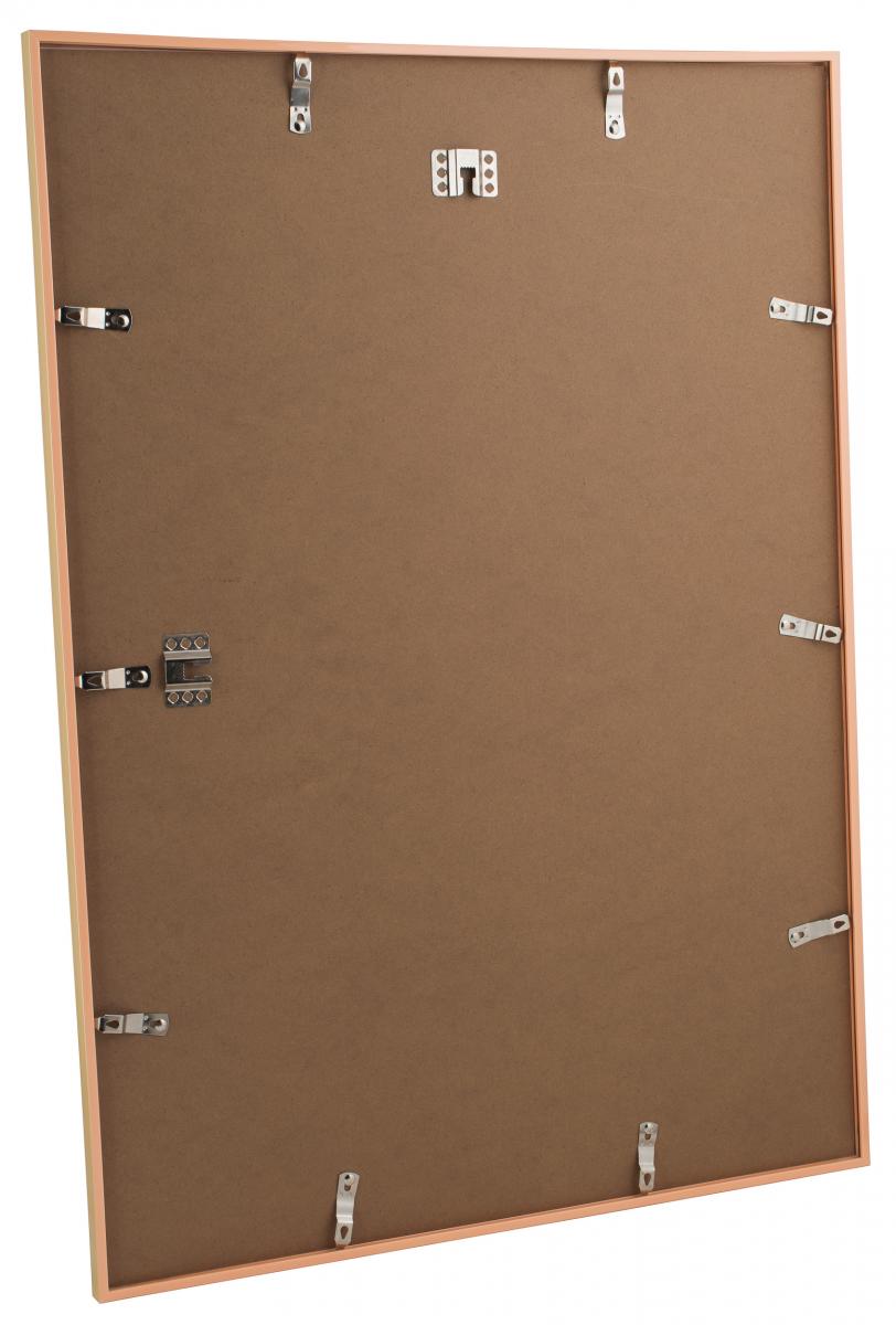 Walther Fotolijst New Lifestyle Acrylglas Goud 60x80 cm