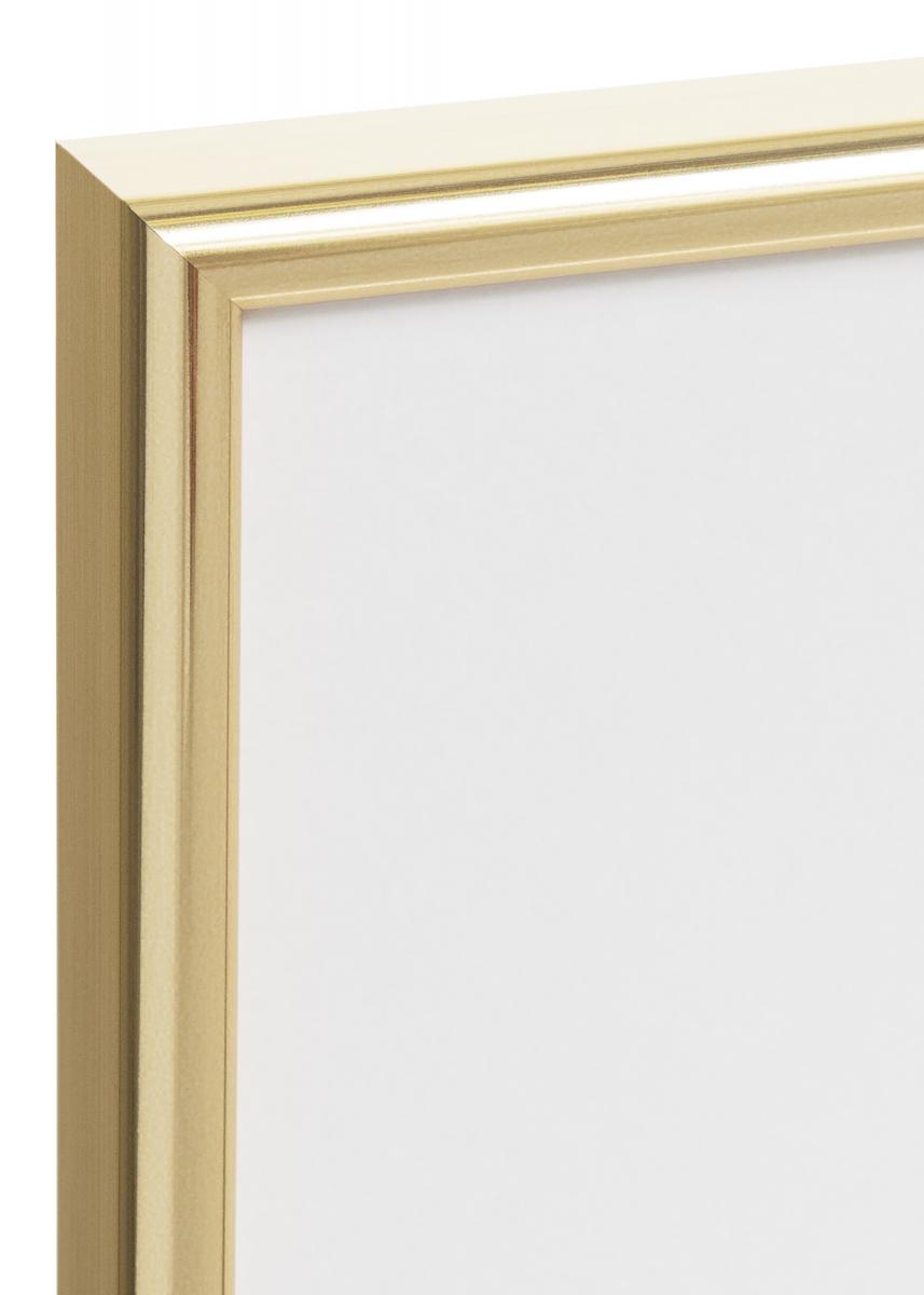 Walther Fotolijst Galeria Goud 40x60 cm