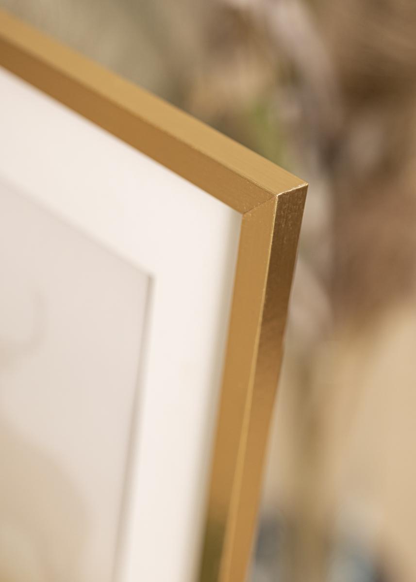 Artlink Fotolijst Trendy Goud 40x60 cm