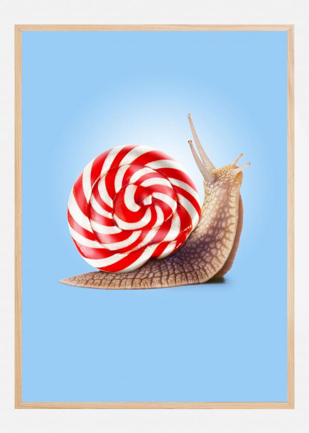 Bildverkstad Snail Candy Poster