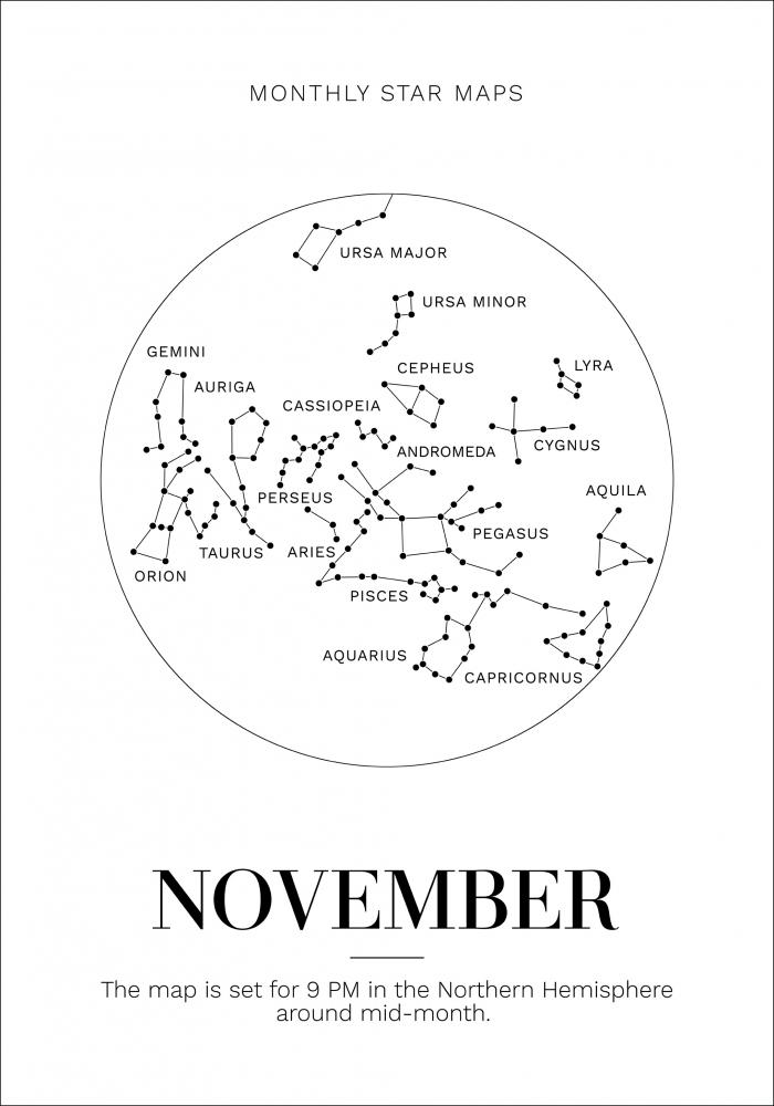 Bildverkstad Monthly star November Poster