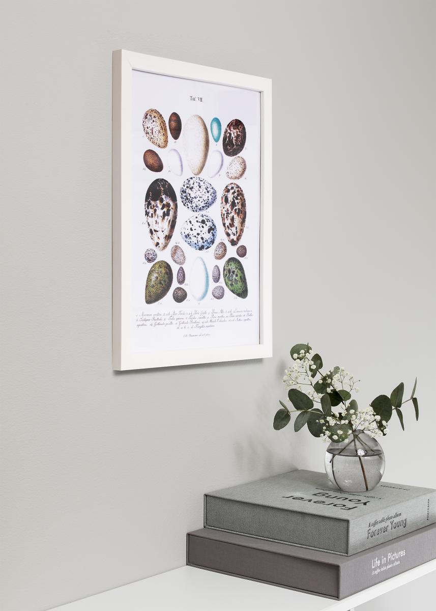 Galleri 1 Fotolijst White Wood 30x91 cm