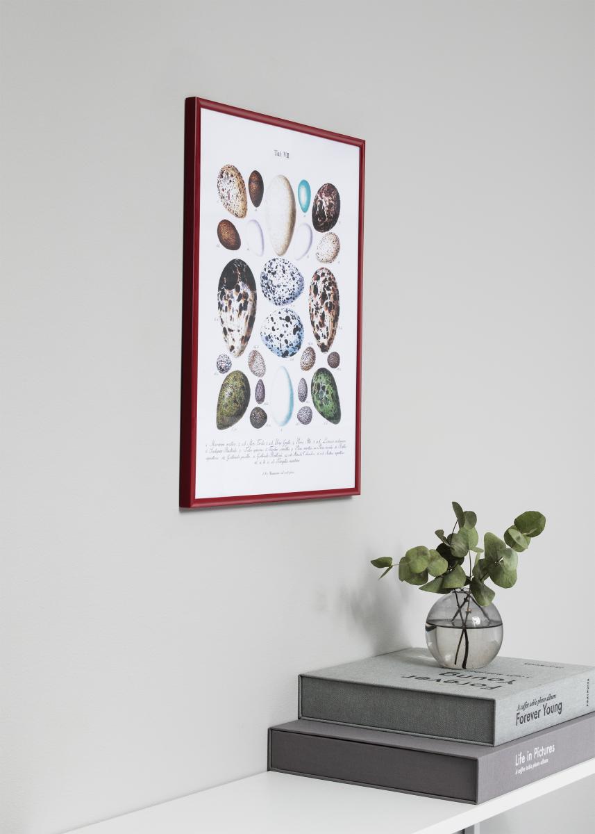 Walther Fotolijst New Lifestyle Rood 40x60 cm