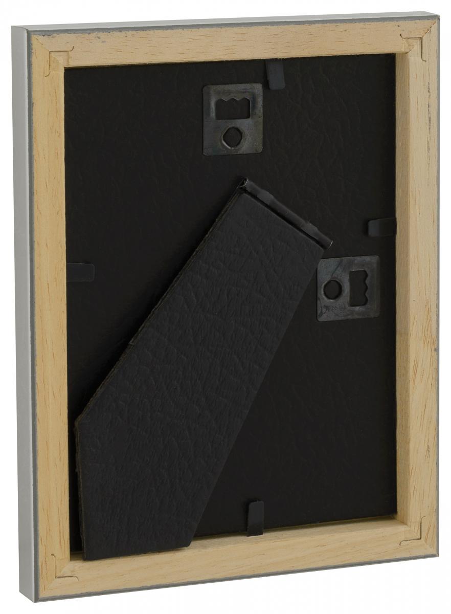 HHC Distribution Fotolijst Slim Mat Ontspiegeld Glas Zilver 9x12 cm