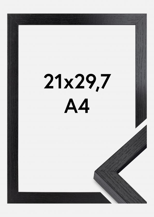 BGA BGA Framebox Acrylglas Zwart 21x29,7 cm (A4)