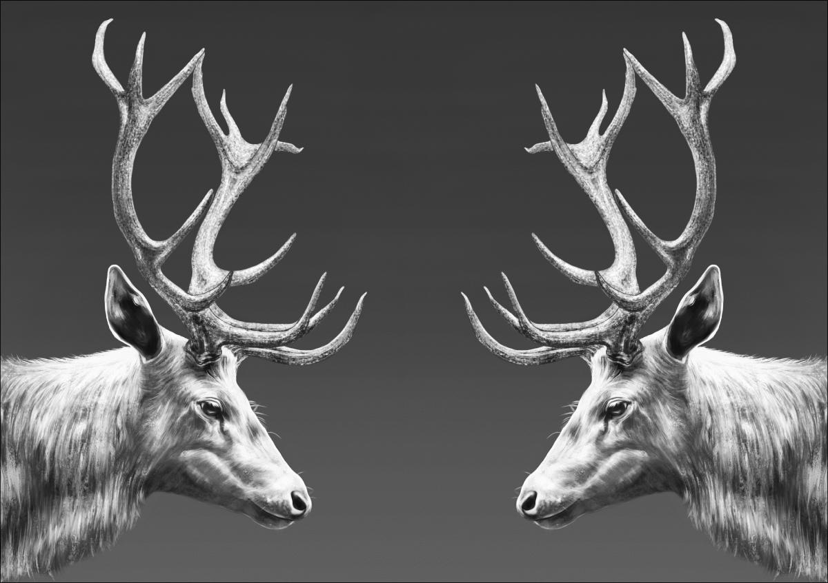 Bildverkstad REINDEER DOUBLE Poster