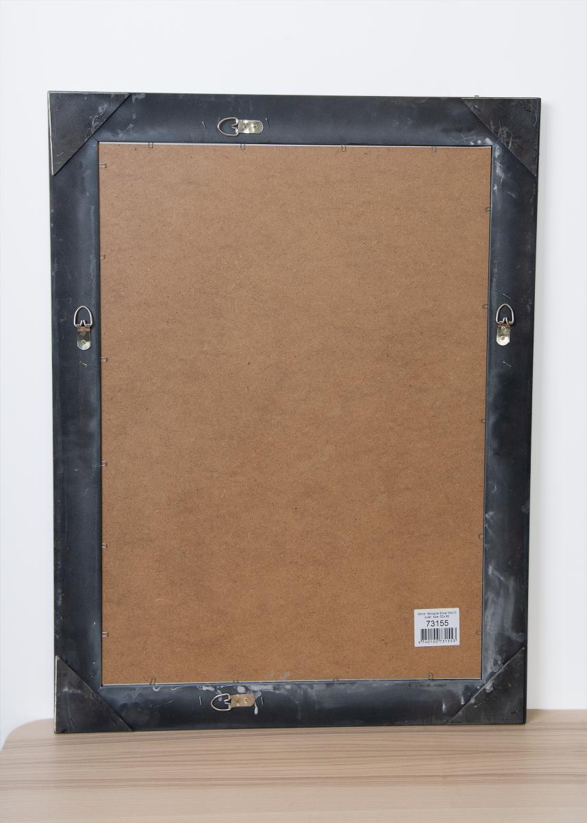 Artlink Spiegel Bologna Zilver 50x70 cm