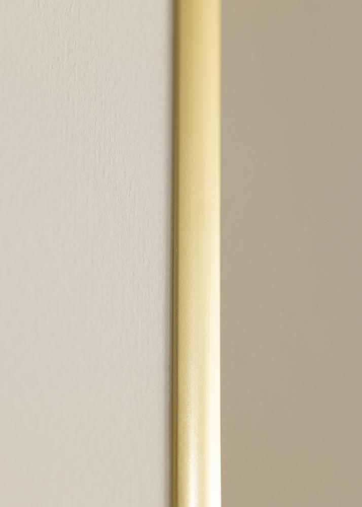 Walther Fotolijst New Lifestyle Acrylglas Goud 20x30 cm