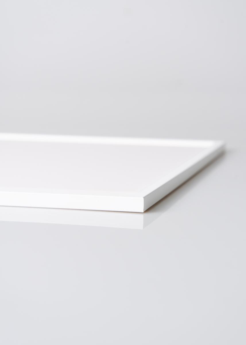 Galleri 1 Fotolijst Edsbyn Wit 25x60 cm