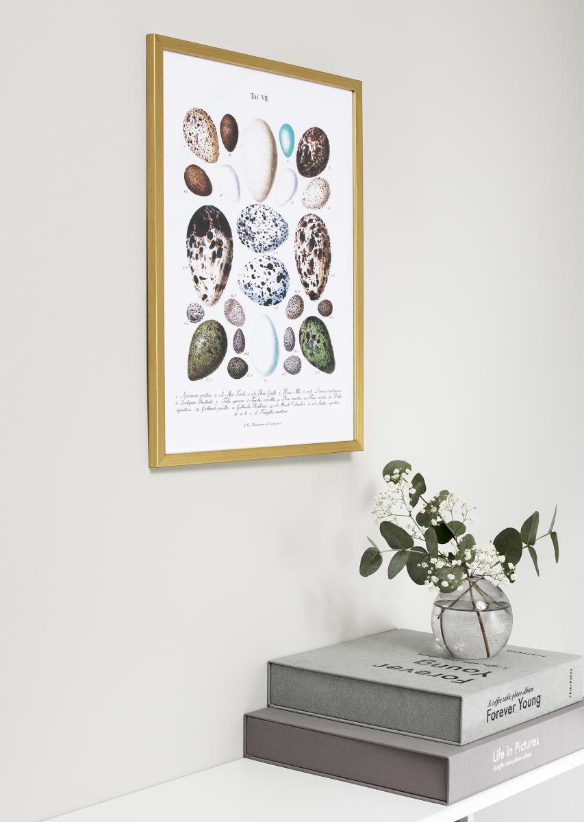 Galleri 1 Frame Gold 21x29,7 cm (A4)