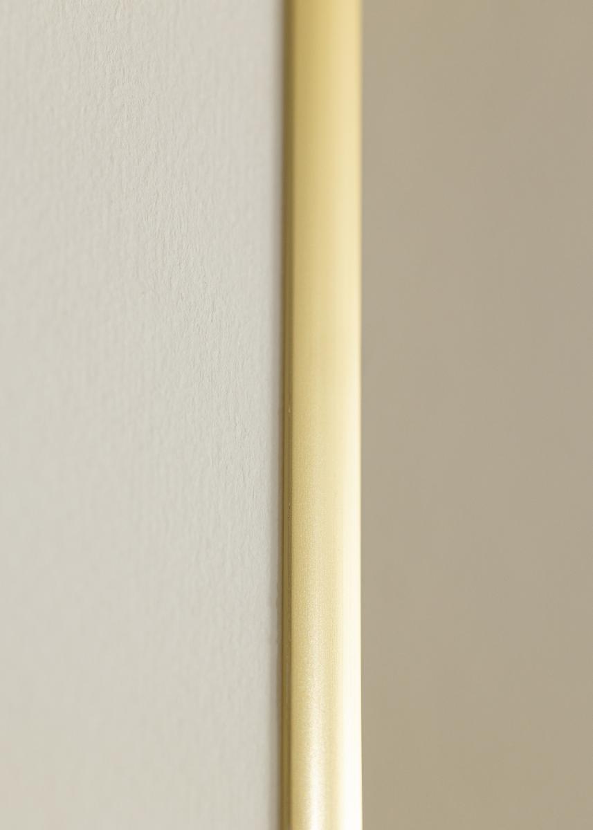 Walther Fotolijst New Lifestyle Acrylglas Goud 29,7x42 cm (A3)