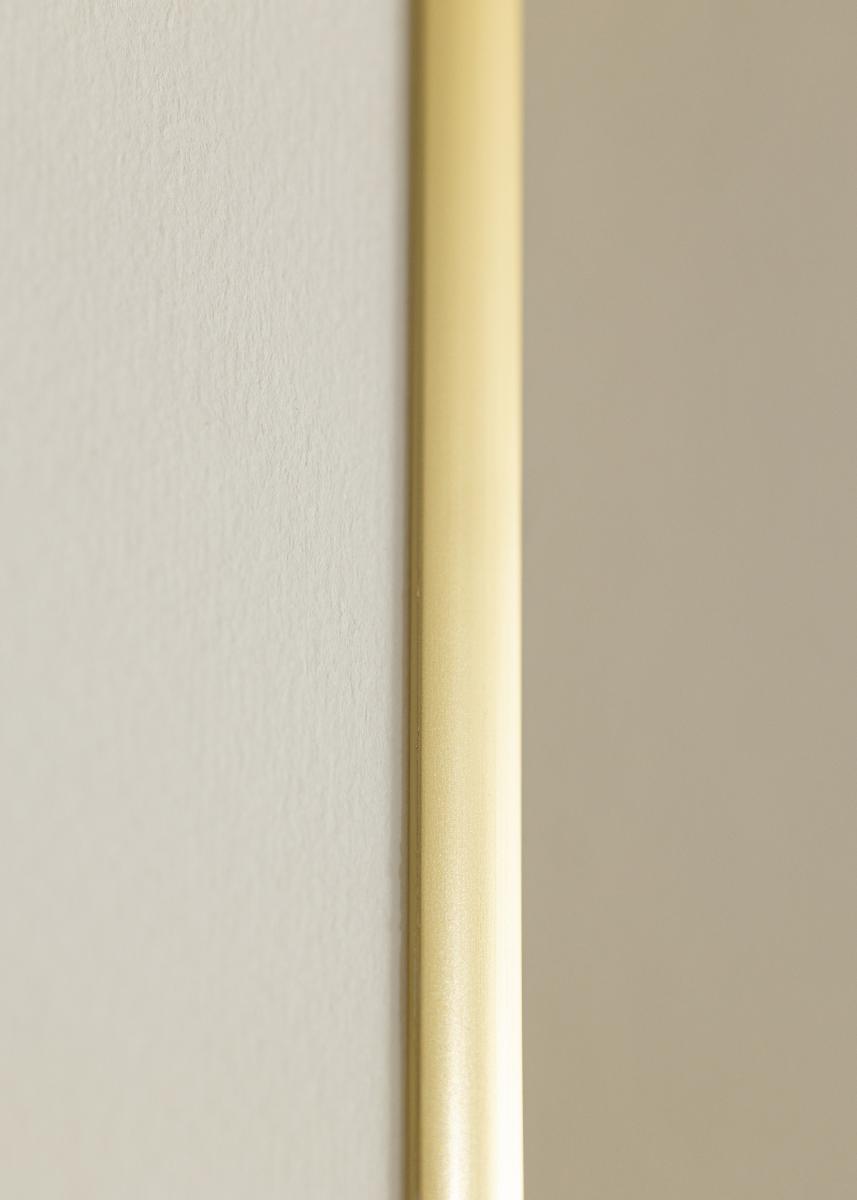 Walther Fotolijst New Lifestyle Acrylglas Goud 29,7x42 cm (A3)