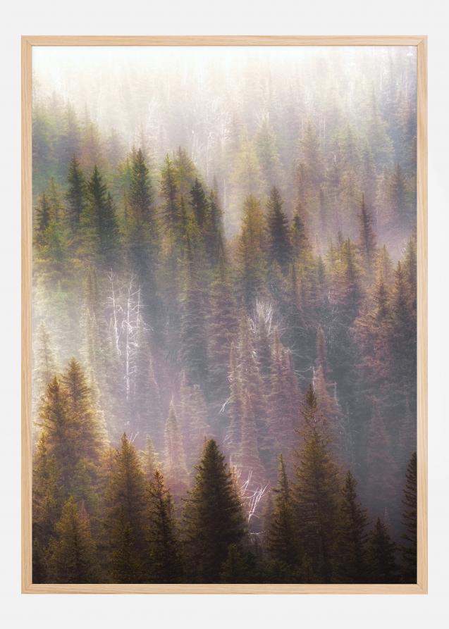 Bildverkstad Misty Mood in the Forest Poster