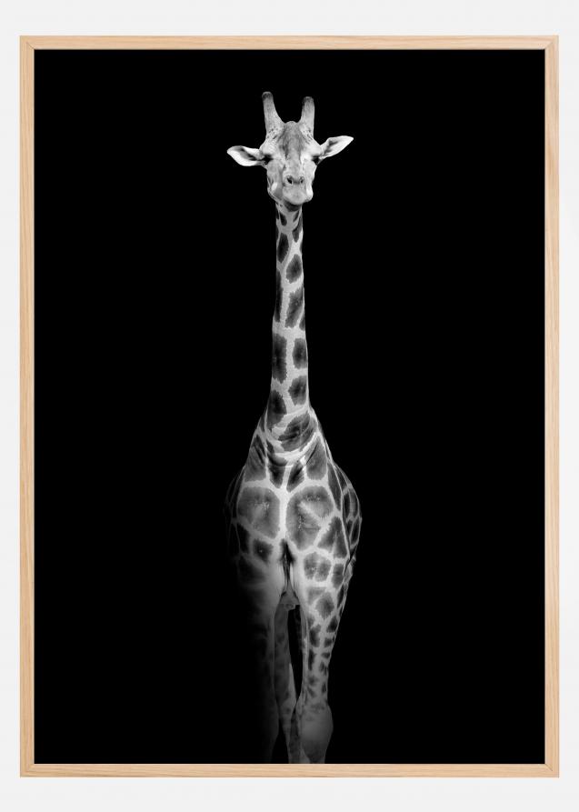 Bildverkstad Stunning giraffe Poster