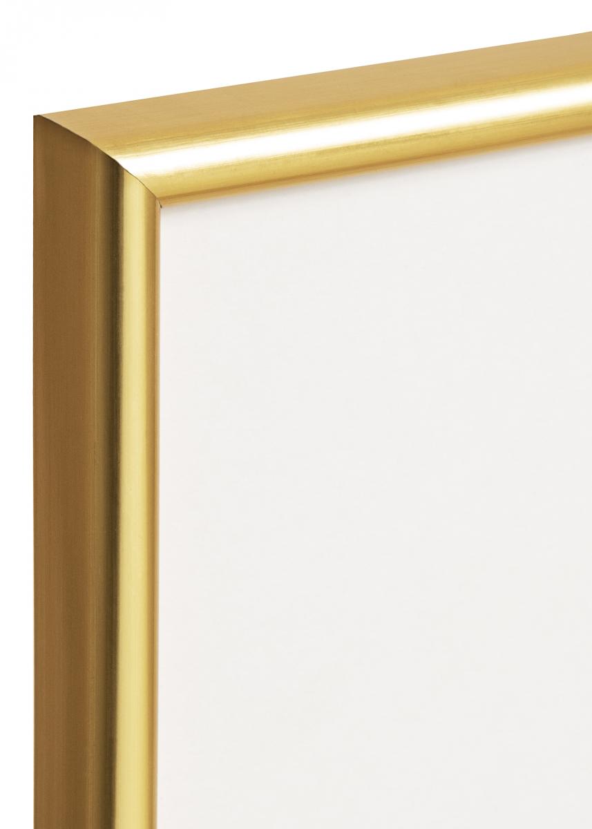 Artlink Fotolijst Decoline Acrylglas Goud 60x80 cm