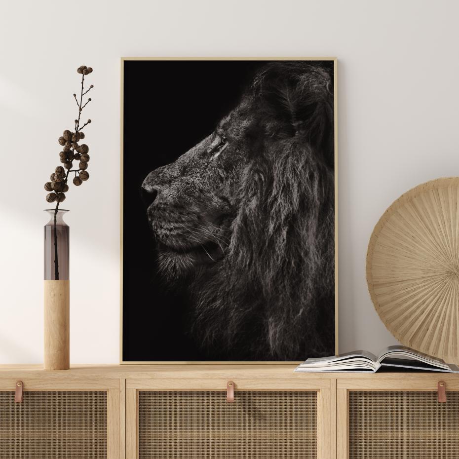 Bildverkstad Lion In Profile Poster