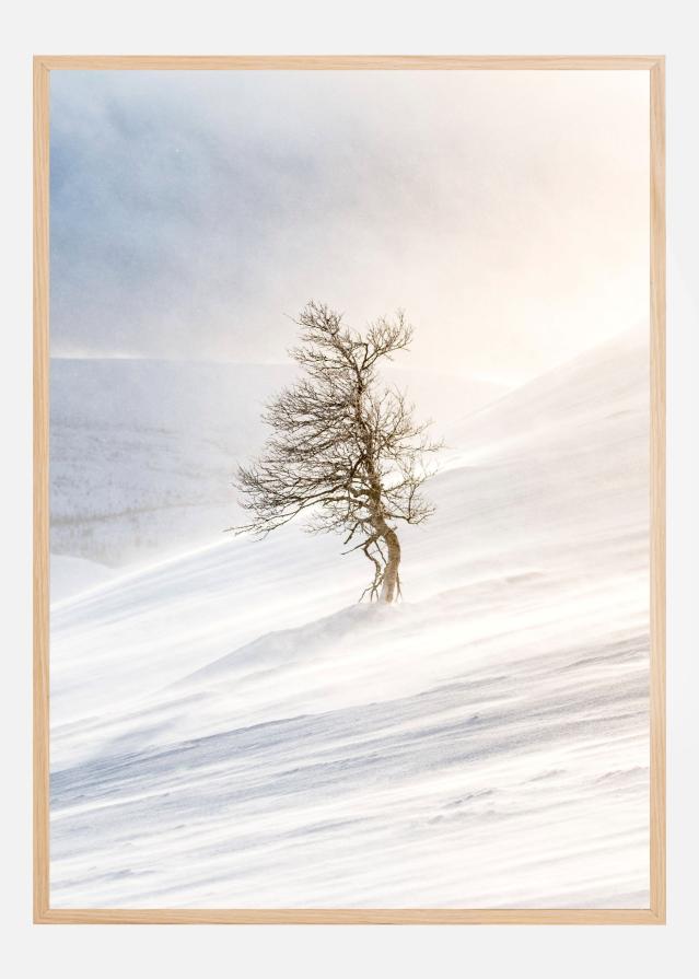 Bildverkstad Tree of the frozen wind Poster