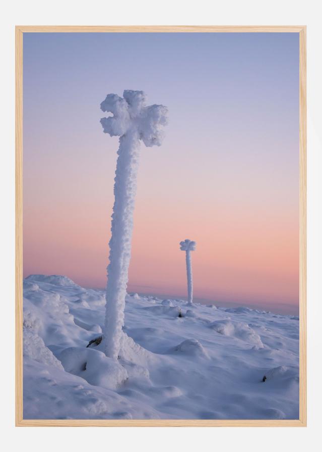Bildverkstad Winter blossoms Poster